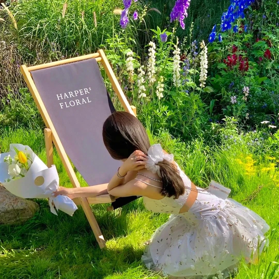 换亲后我扶夫君青云志